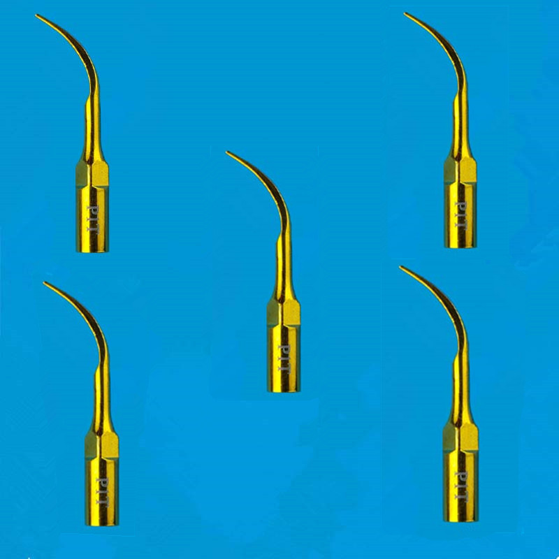 Veterinary Dental Scaler - 5pcs Ultrasonic Scaler Periodontics Tip P1T