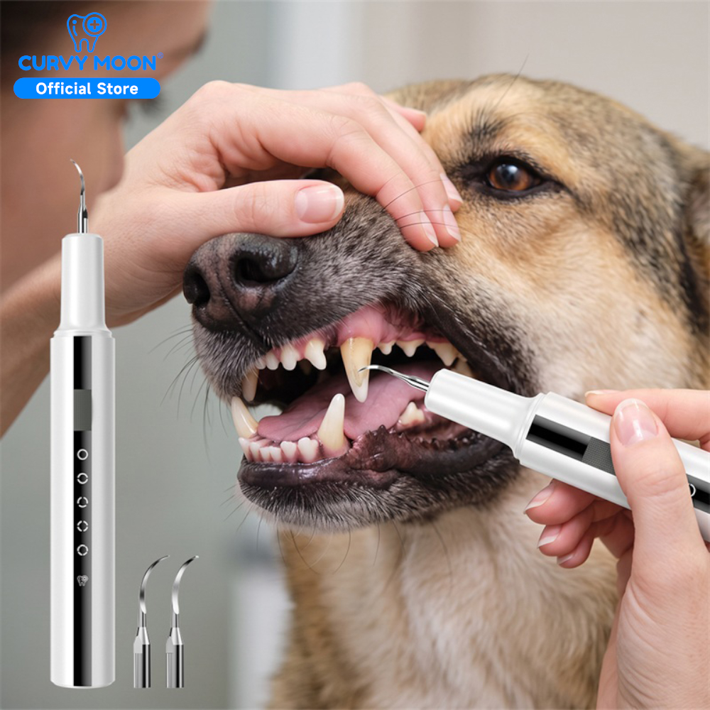 Veterinary Dental Scaler - Pet Dental Care Ultrasonic Teeth Electric