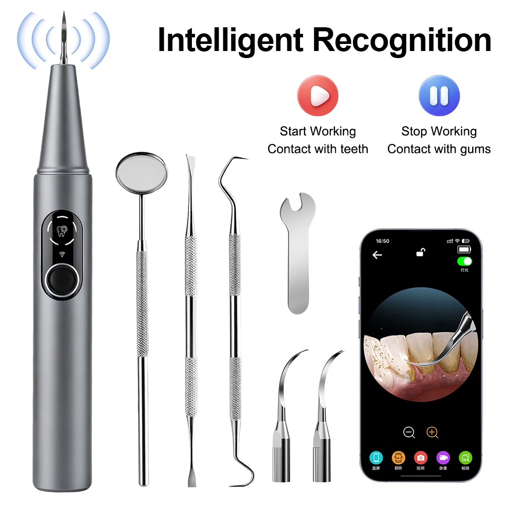 Veterinary Dental Scaler - New Visual Ultrasonic Dental Scaler 500W