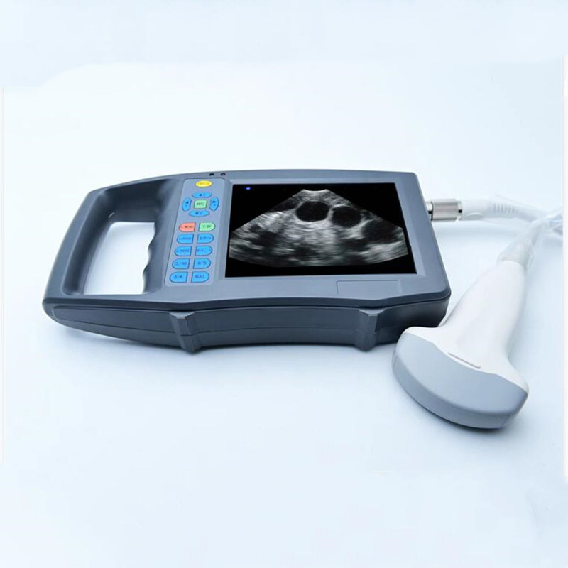 Livestock Ultrasound Pregnancy - Portable HD Color Veterinary B Ultrasound