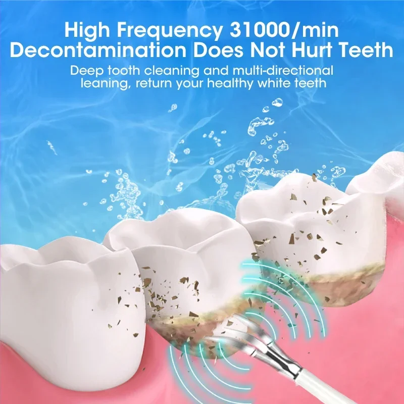 Ultrasonic Scaler for Teeth Cl - Veterinary Dental Scaler 评论和价格