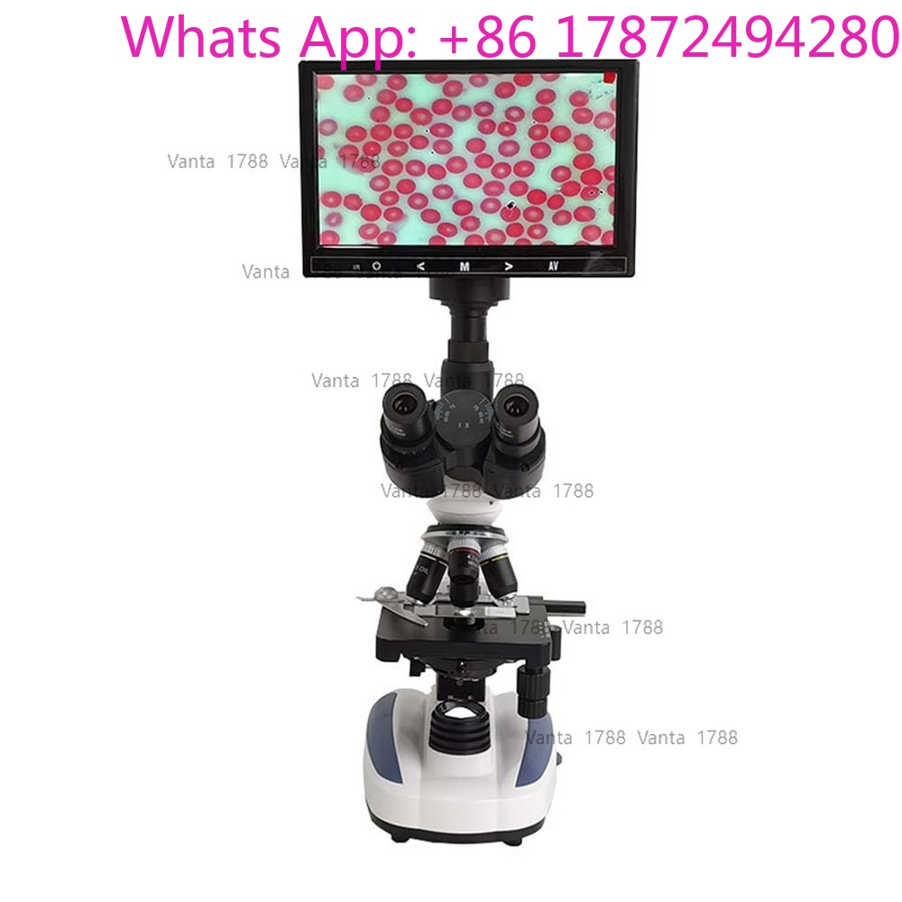 Optical Microscope Veterinary  - Veterinary Microscope Binocular 评论和价格
