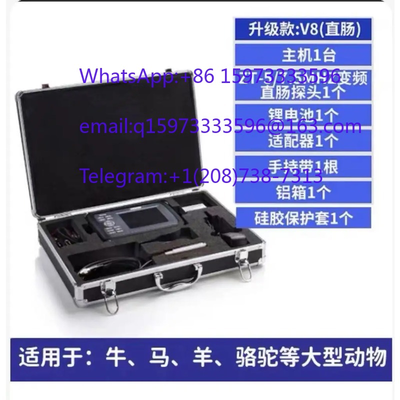 V8 rectal probe animal B-ultra - Livestock Ultrasound Pregnancy 评论和价格