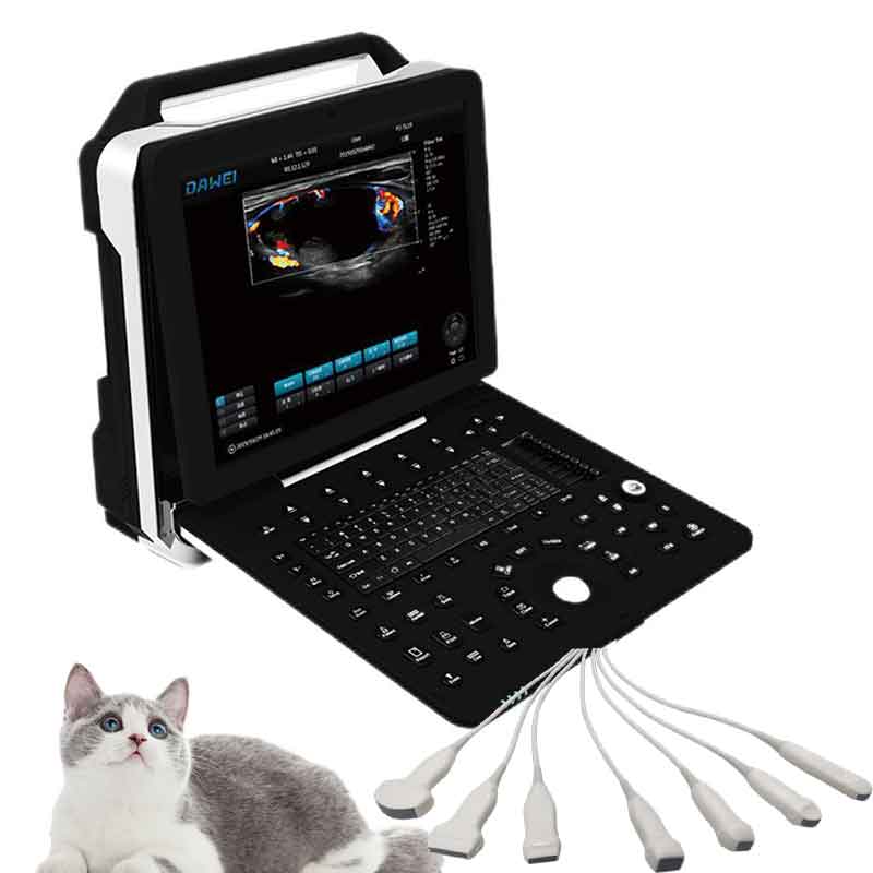 Sheep Swine Portable Ultrasoun - Livestock Ultrasound Pregnancy 评论和价格