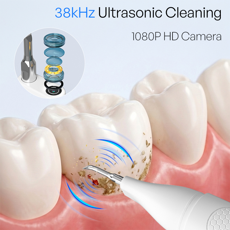 Visual Ultrasonic Teeth Cleane - Veterinary Dental Scaler 评论和价格