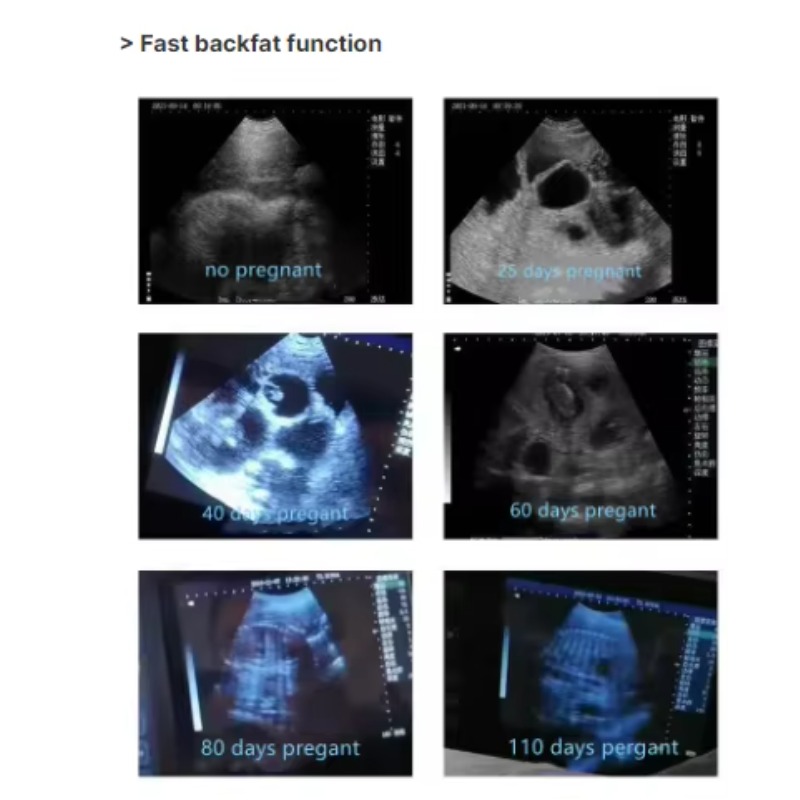 Veterinary Handheld Wireless U - Veterinary Ultrasound Scanner Portable 评论和价格
