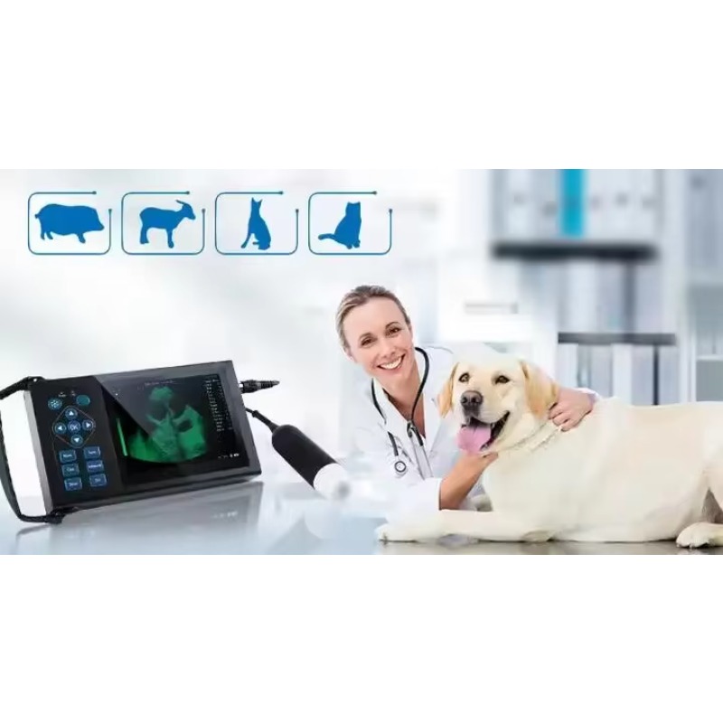 Veterinary Handheld Wireless U - Veterinary Ultrasound Scanner Portable 评论和价格