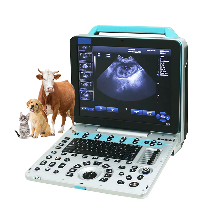 VUP5 Portable Vet Scanner 4D V - Veterinary Ultrasound Scanner Portable 评论和价格