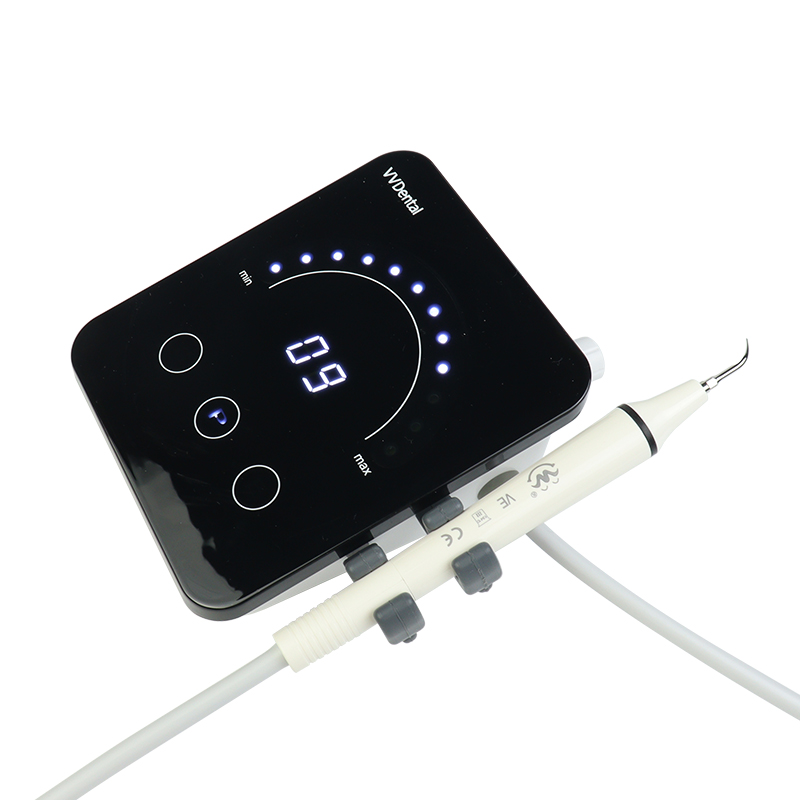 Dentist Ultrasonic Dental Scal - Veterinary Dental Scaler 评论和价格