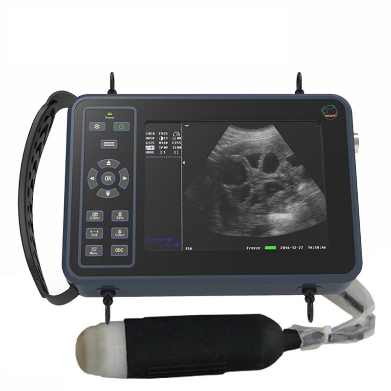 5.6 Inch Livestock Portable Ve - Livestock Ultrasound Pregnancy 评论和价格