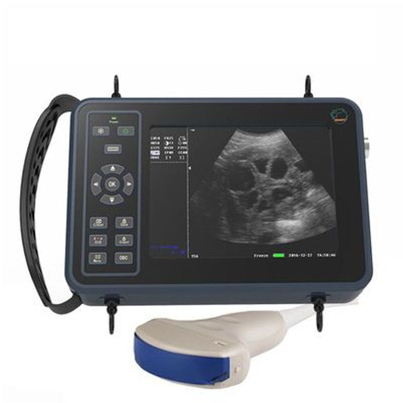 5.6 Inch Livestock Portable Ve - Livestock Ultrasound Pregnancy 评论和价格