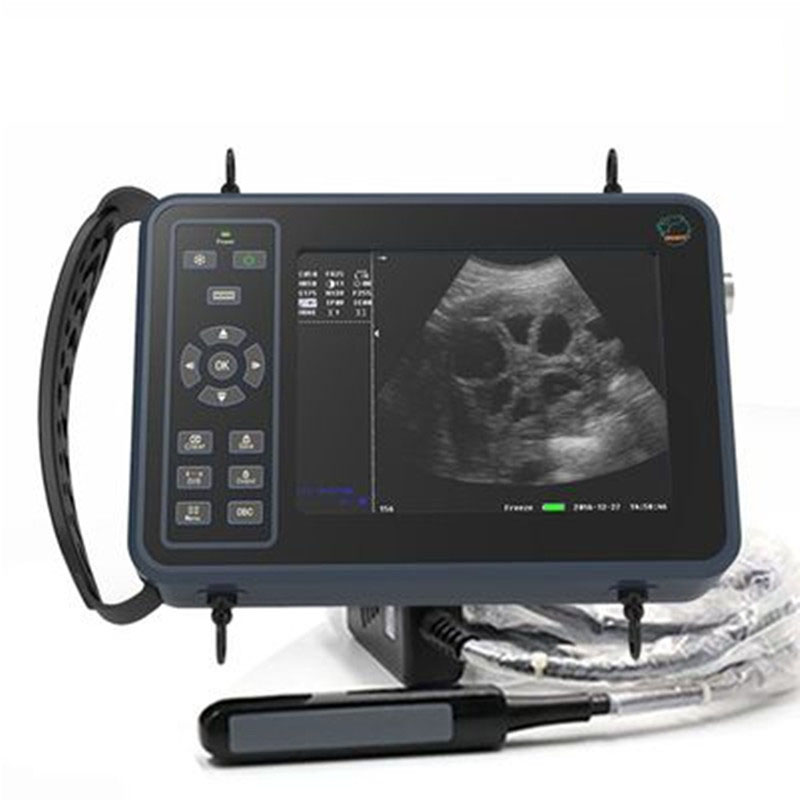 5.6 Inch Livestock Portable Ve - Livestock Ultrasound Pregnancy 评论和价格