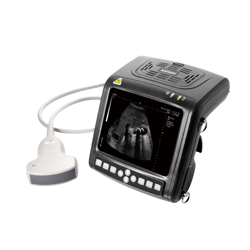 Mecan Vet Animal Pregnancy Tes - Livestock Ultrasound Pregnancy 评论和价格