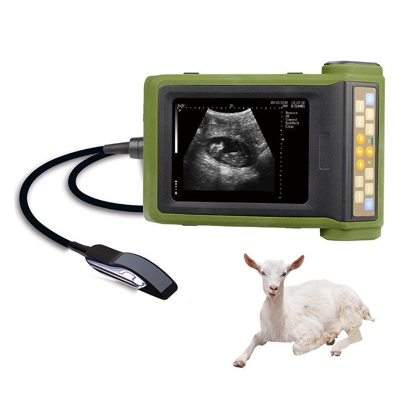 Mecan Vet Animal Pregnancy Tes - Livestock Ultrasound Pregnancy 评论和价格