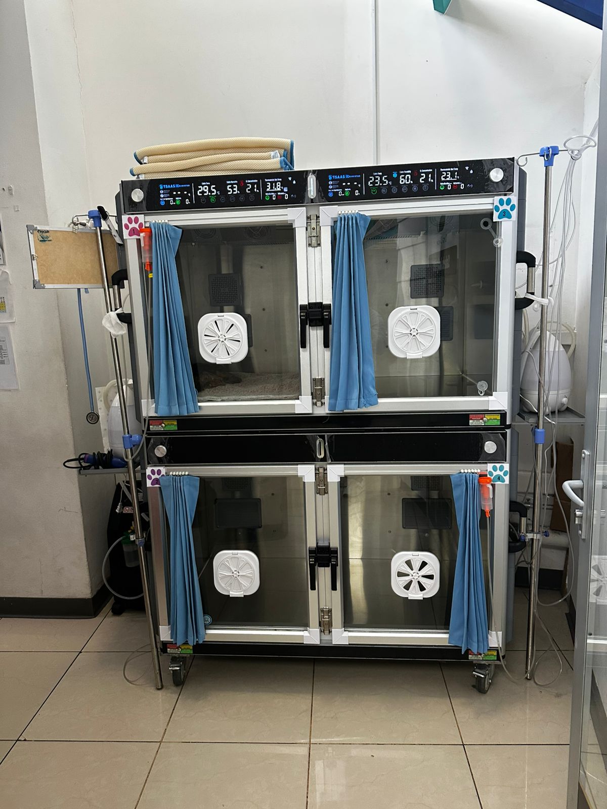 Fully Automatic Veterinary Hos - Animal Incubator Veterinary 评论和价格