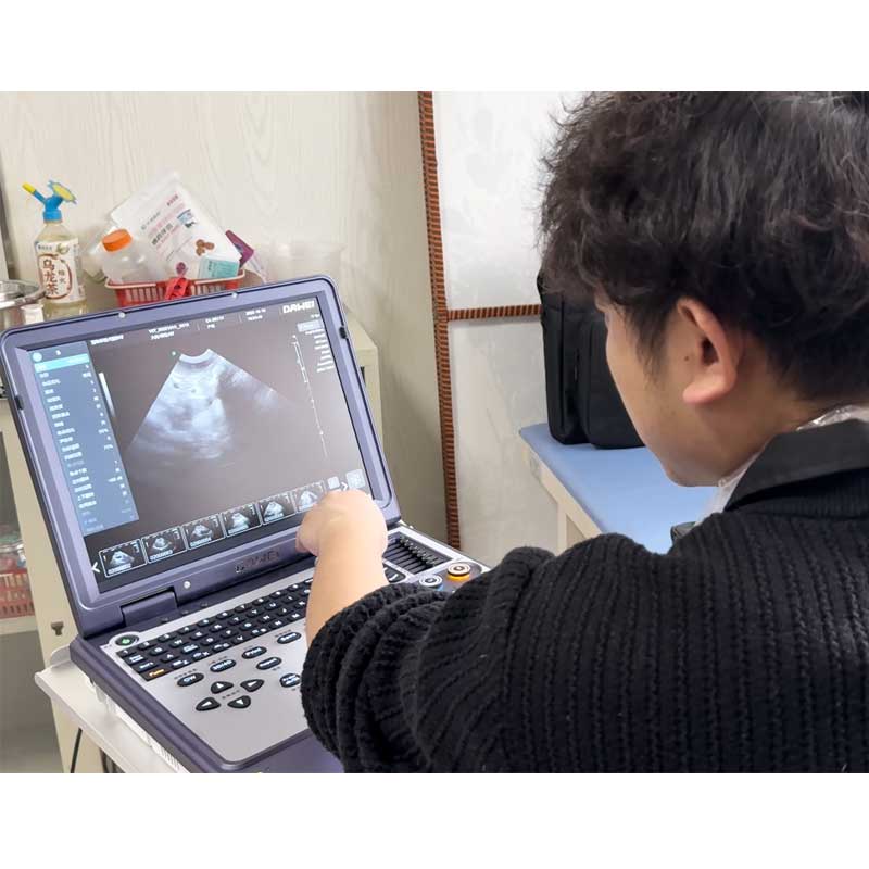 Dawei Portable Ultrasound Vete - Veterinary Ultrasound Scanner Portable 评论和价格