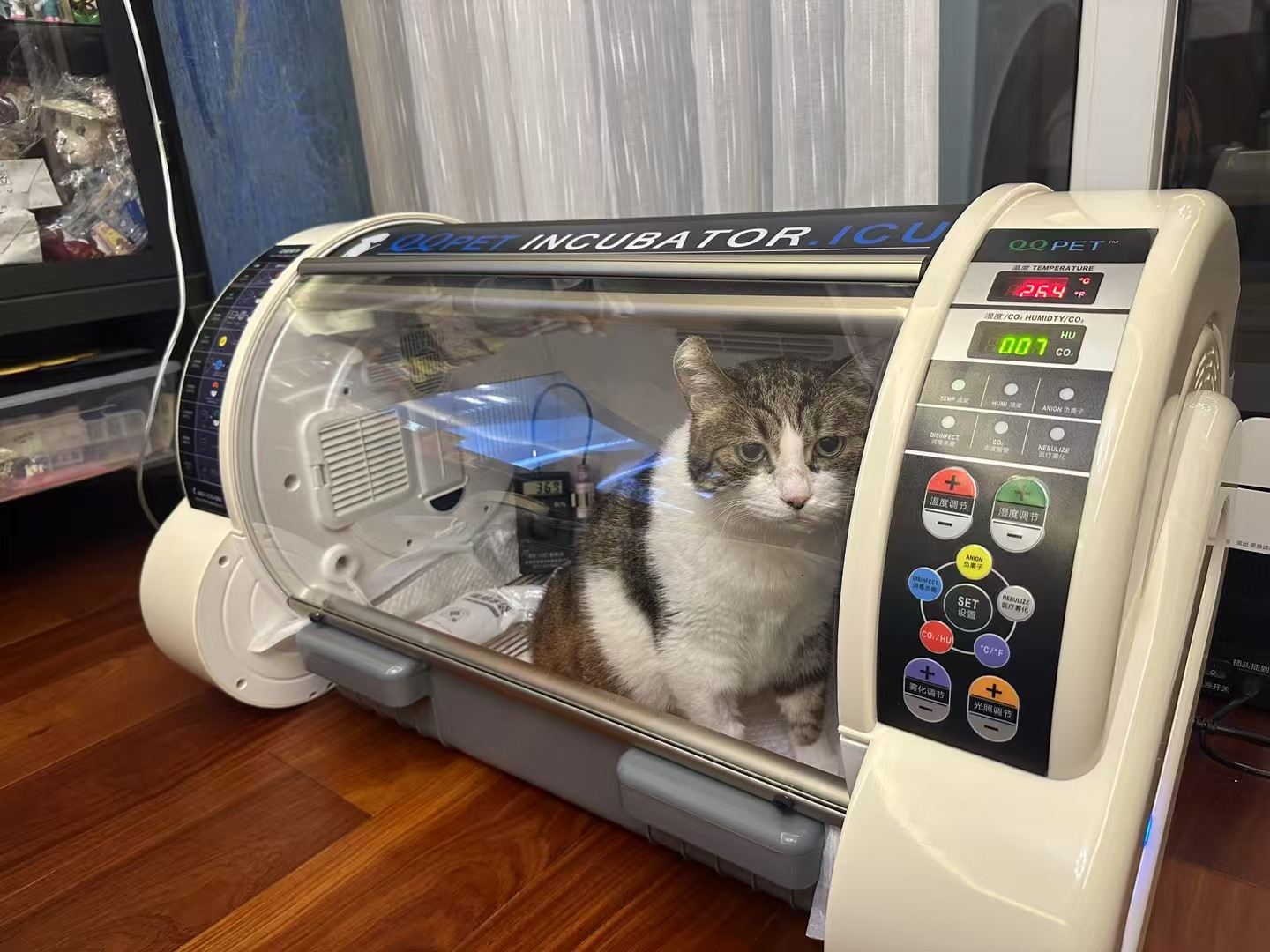 Portable Veterinary ICU Chambe - Animal Incubator Veterinary 评论和价格