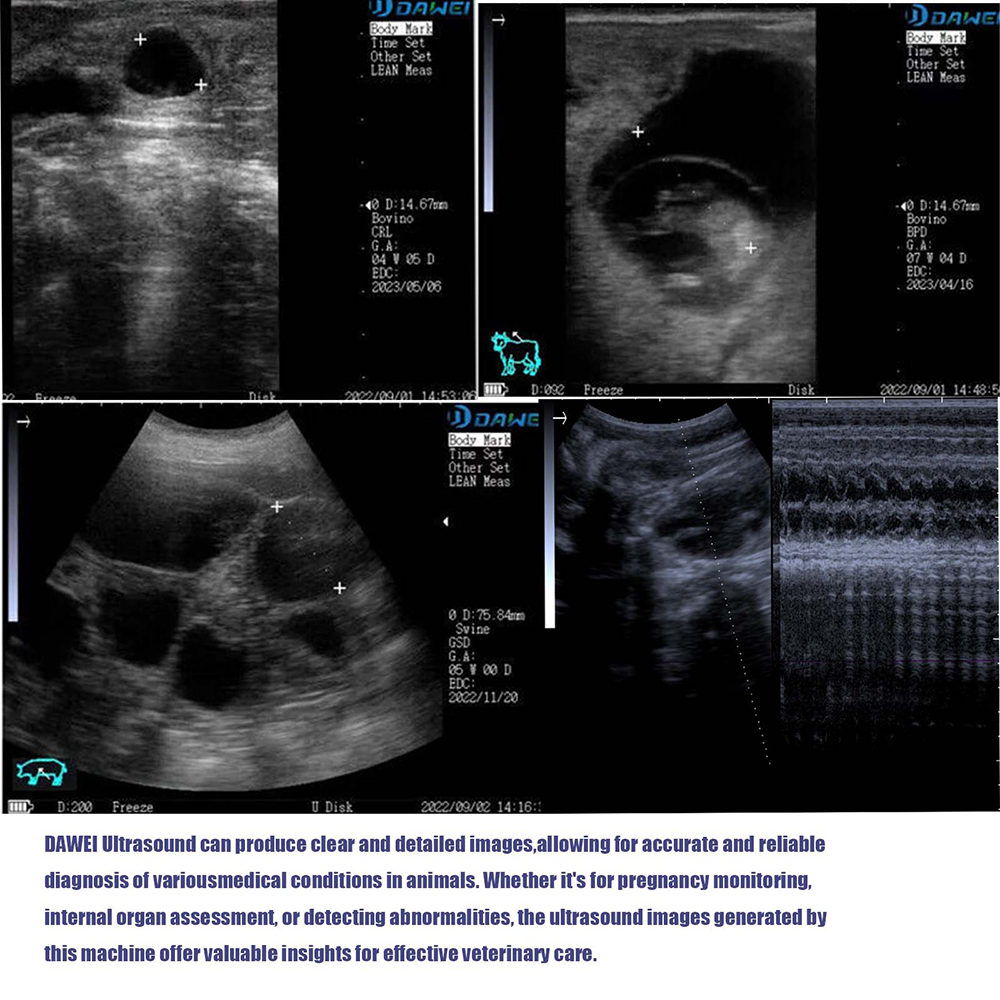 Portable Veterinary Ultrasound - Veterinary Ultrasound Scanner Portable 评论和价格