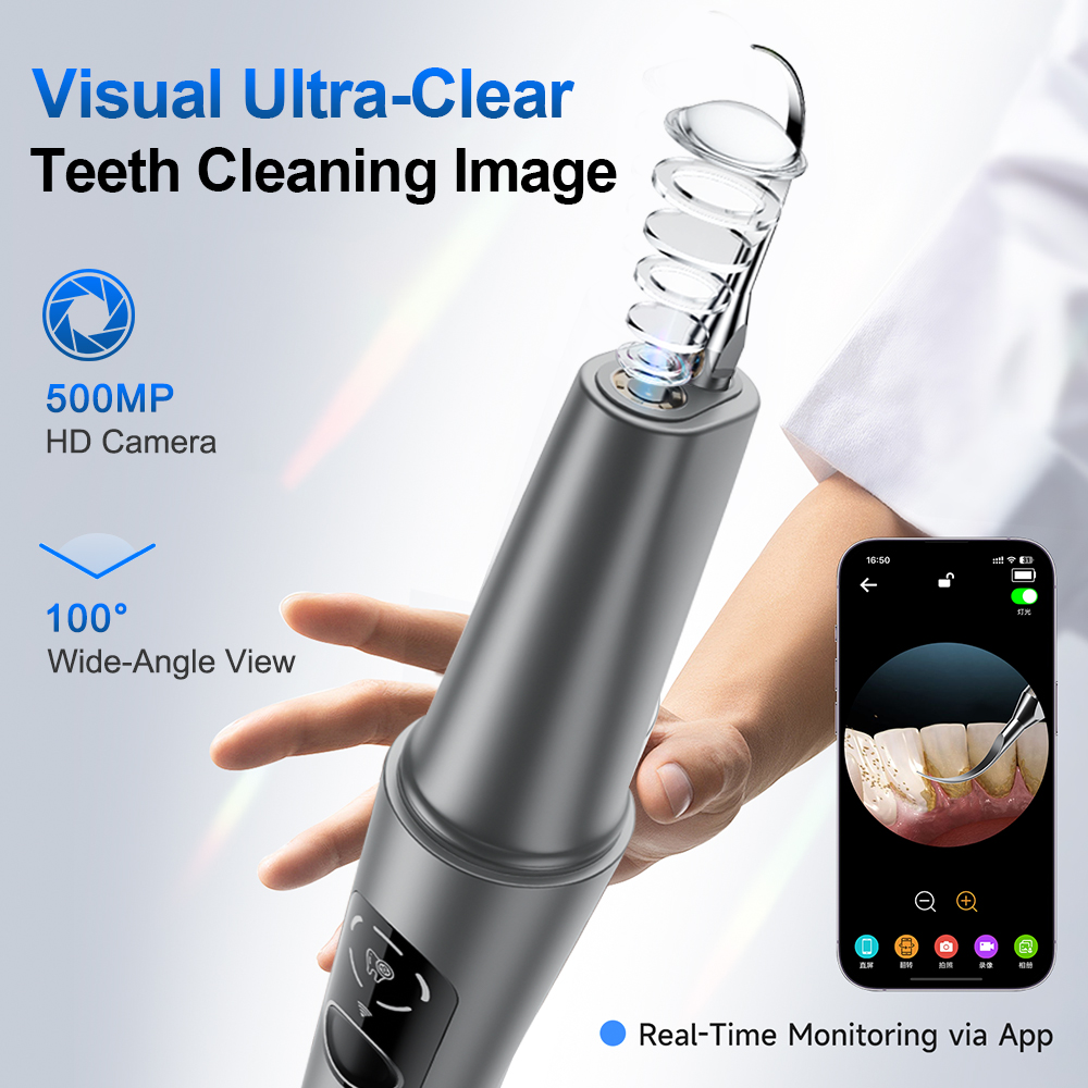 New Visual Ultrasonic Dental S - Veterinary Dental Scaler 评论和价格