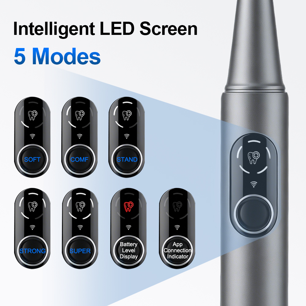 New Visual Ultrasonic Dental S - Veterinary Dental Scaler 评论和价格