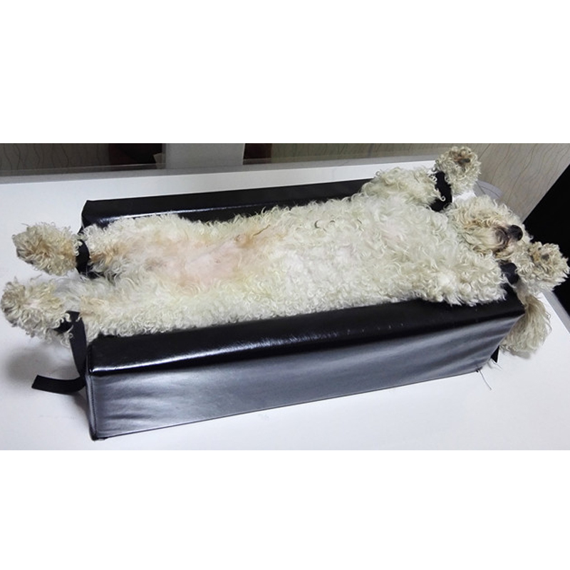 Small Size    Animal Xray Mach - Veterinary X Ray Machine 评论和价格