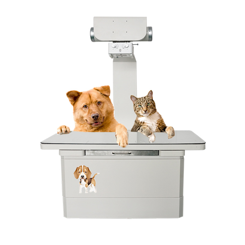 Veterinary x-ray machine pet h - Veterinary X Ray Machine 评论和价格