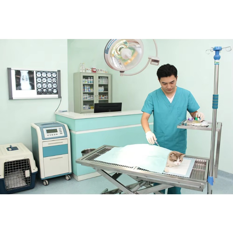 Professional Electric Veterina - Veterinary Blood Analyzer 评论和价格