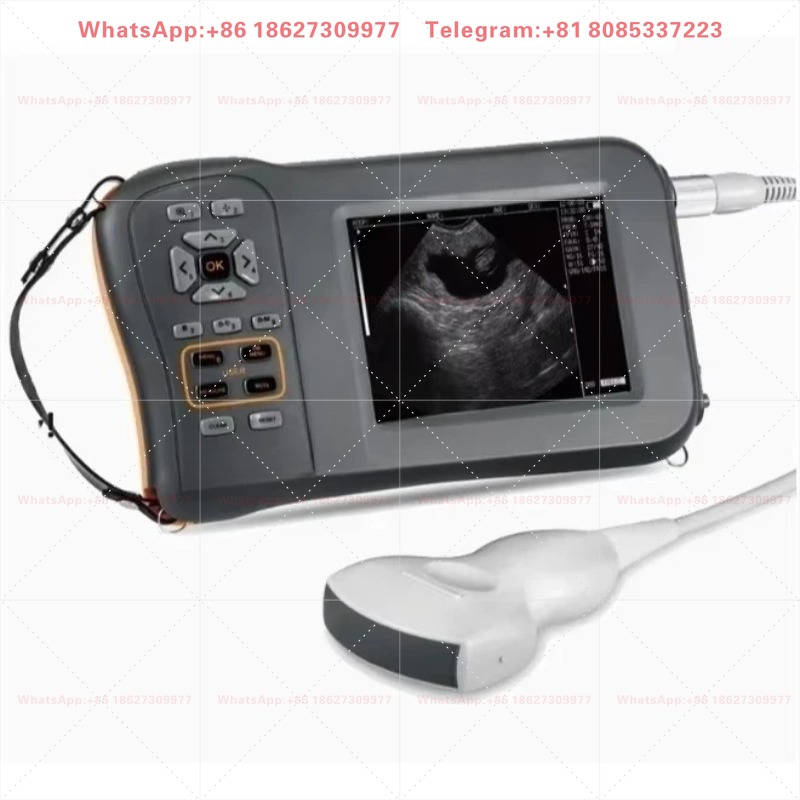 Sheep Pig Cow Equine Pre-gnanc - Veterinary Ultrasound Scanner Portable 评论和价格