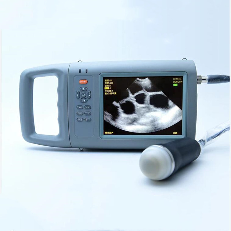 Portable HD Color Veterinary B - Livestock Ultrasound Pregnancy 评论和价格
