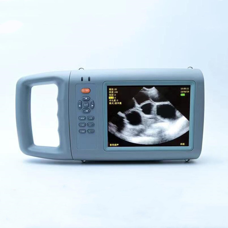 Portable HD Color Veterinary B - Livestock Ultrasound Pregnancy 评论和价格